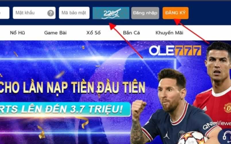 Đá gà và những điều cần biết - Hitclub